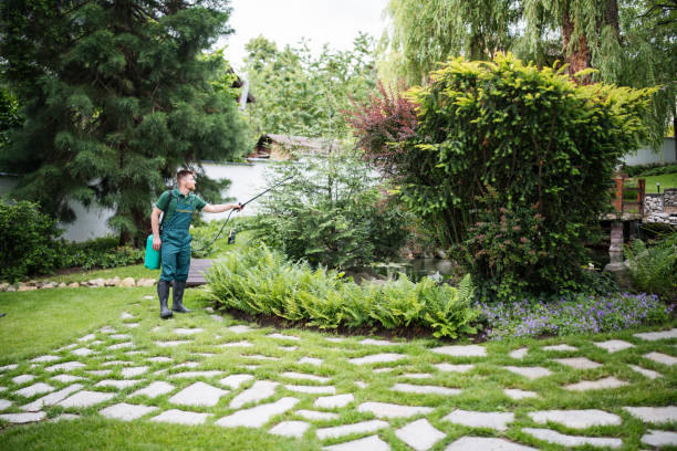 Best Affordable Pest Control Services  in , NE